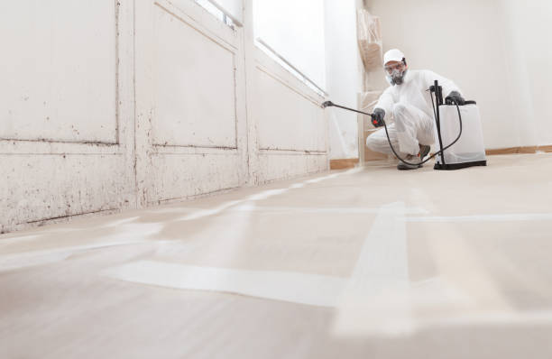 24/7 Emergency Attic Mold Remediation experts in Newmanstown, PA